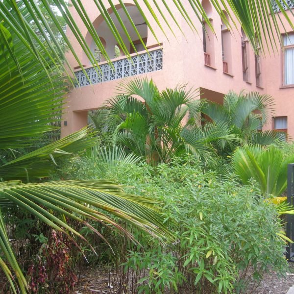 4bd894f2-fb92-4570-b53f-b1c9fd508719