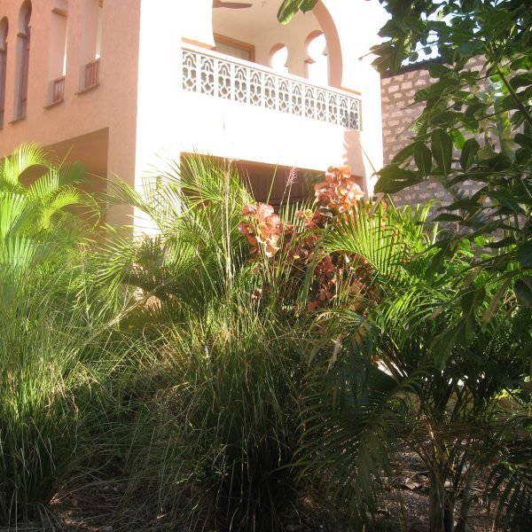 a01e0ccc-3d8d-4370-810a-0593f2542192