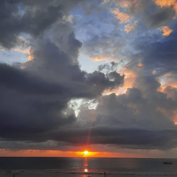 f405fc3d-590b-46e8-a123-ae253a1a6fce